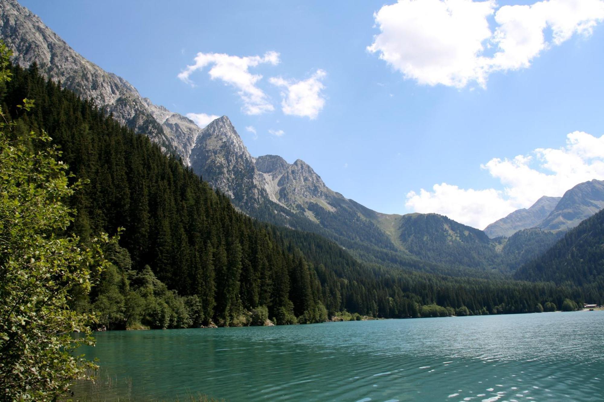 Garni Renzler Bed & Breakfast Rasun di Sopra Exterior foto